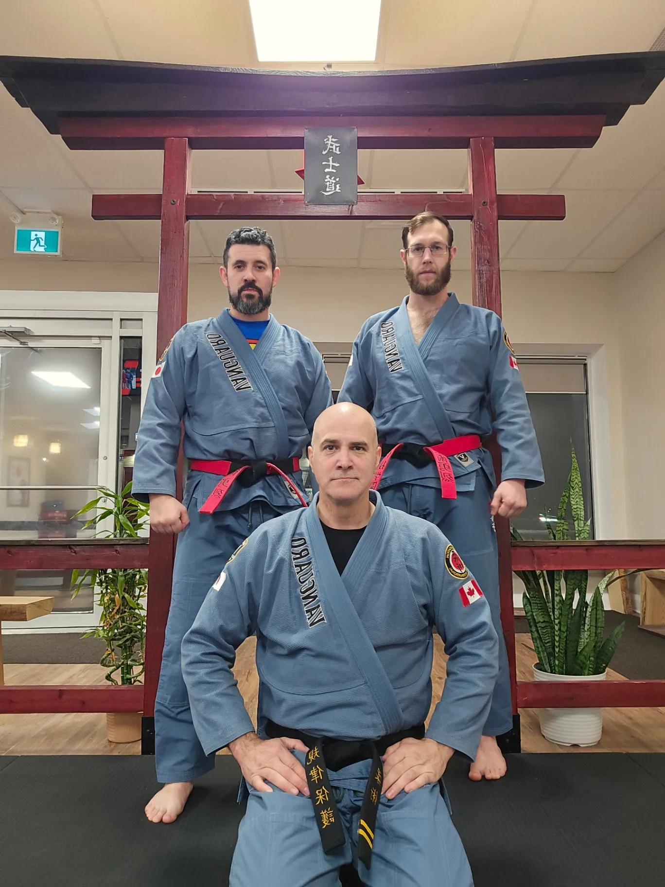 Martial artist reflecting on twenty years of training on the mats
