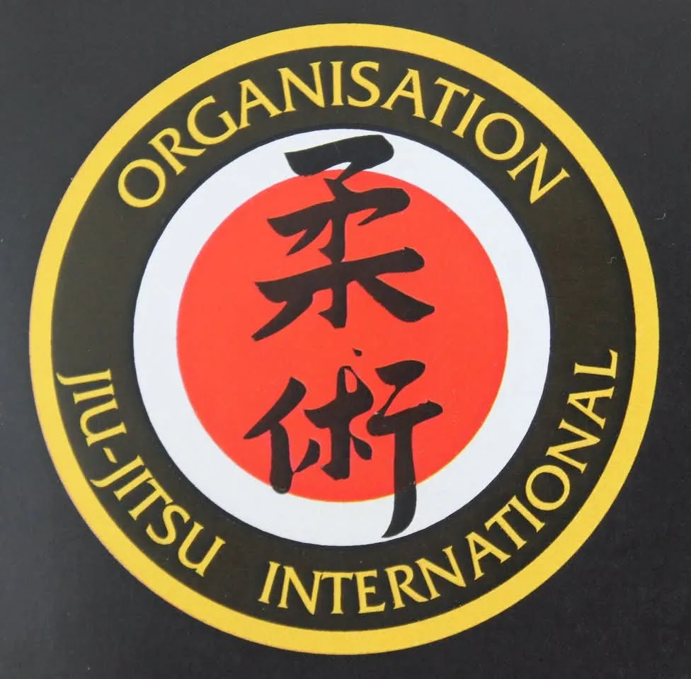 Vanguard martial arts patch representing discipline, courage, and respect